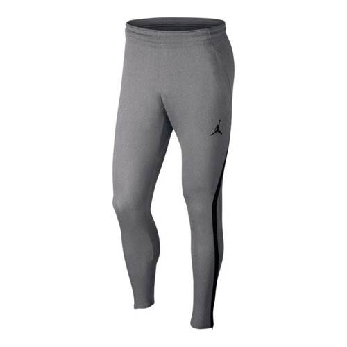 Nike Dry 23 Alpha Pants Grau