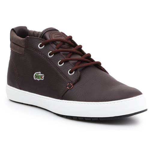 Schuh Lacoste Apmthill Terra Hhi Spw