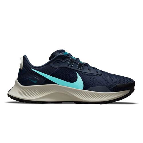 Schuh Nike Pegasus Trail 3