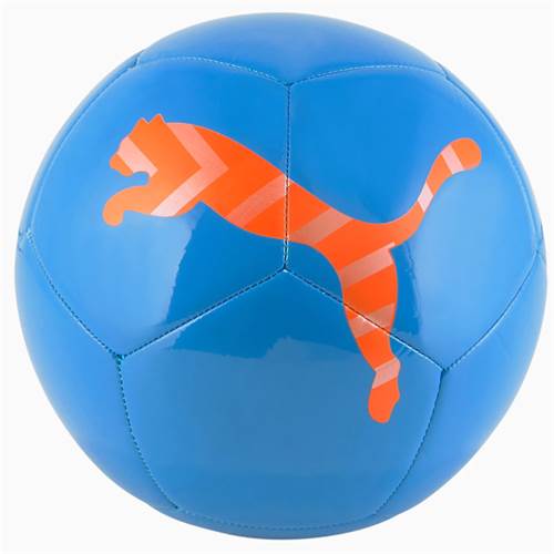 Puma Icon Ball Blau