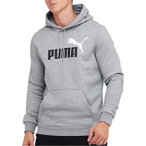 Puma Ess 2 Col Big Logo Hoodie Grau
