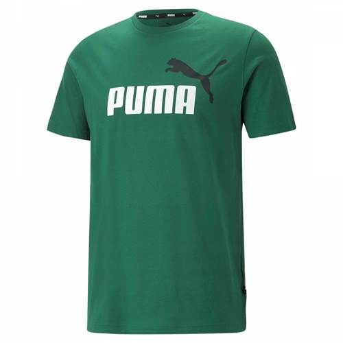 Puma Ess 2 Col Logo Tee Grün