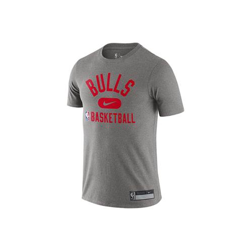 Nike Nba Chicago Bulls Grau