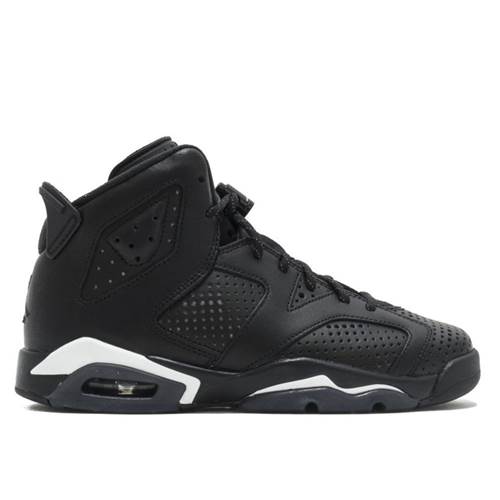 Nike Air Jordan 6 Retro BG 384665020