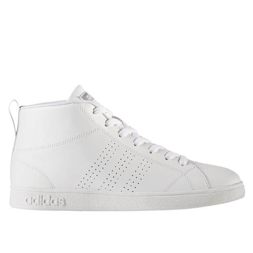 Adidas Advantage CL Mid W Sneaker BB9983