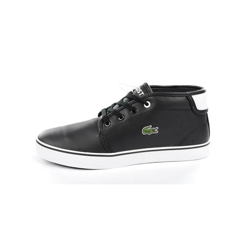 Lacoste Ampthill 1312