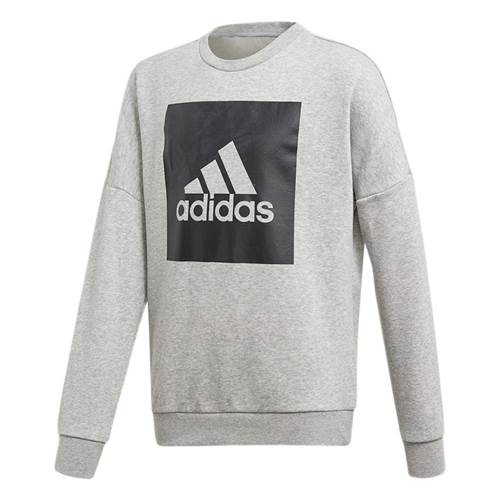 Adidas Essentials Big Logo Sweatshirt CF6528