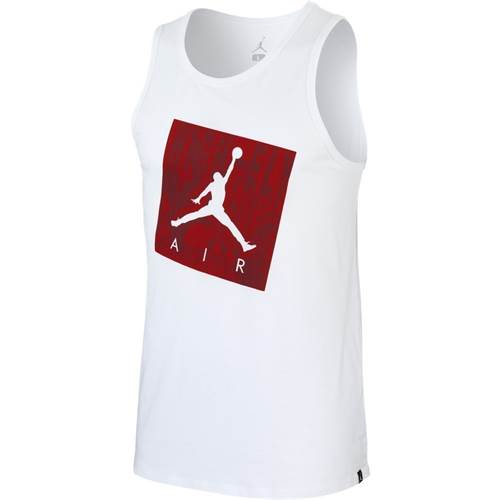 Nike Jordan Sportswear Jumpman Air AJ1402100