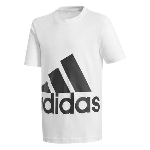 Adidas YB Big Logo Tee BP8760