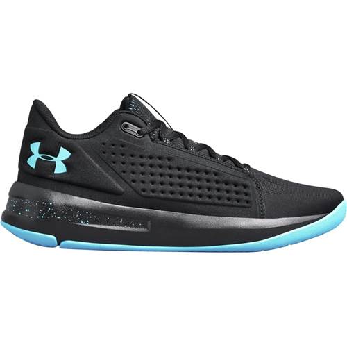 Under Armour Torch Low 3020621003