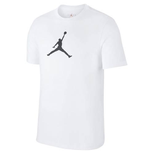 Nike Jordan Iconic 237 AV1167100