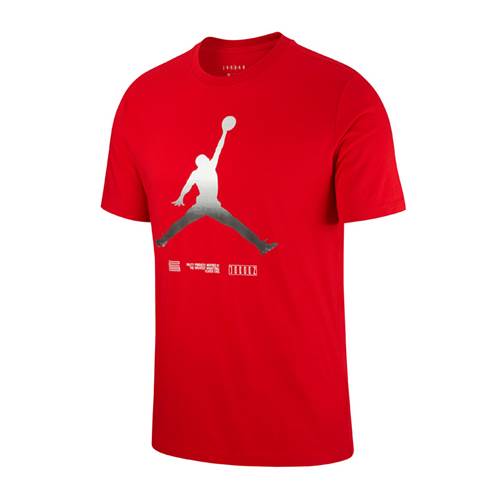 Tshirts Nike Jordan Legacy AJ11