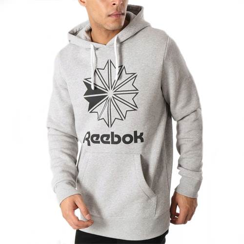 Sweatshirt Reebok Big Logo Hoodie