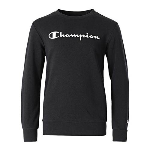 Sweatshirt Champion Crewneck Sweatshirt