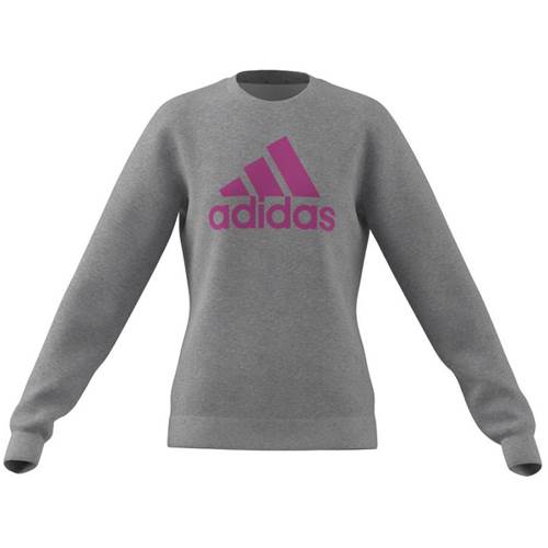 Sweatshirt Adidas Big Logo JR