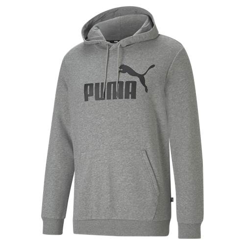 Puma Ess Big Logo Hoodie Grau