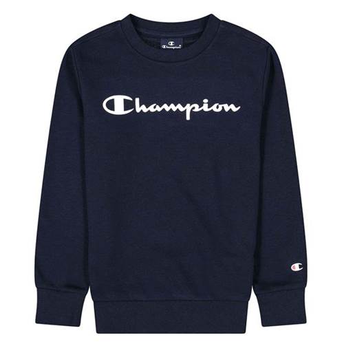 Sweatshirt Champion Crewneck Sweatshirt