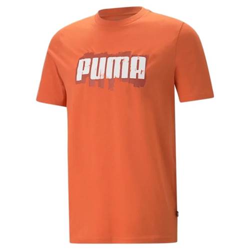Puma Graphics Wording Tee Orangefarbig