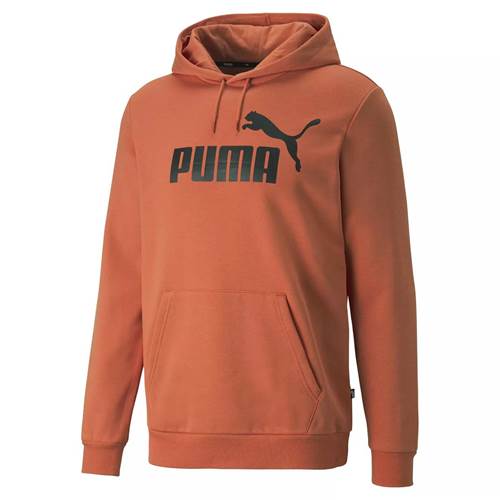Sweatshirt Puma 58668794