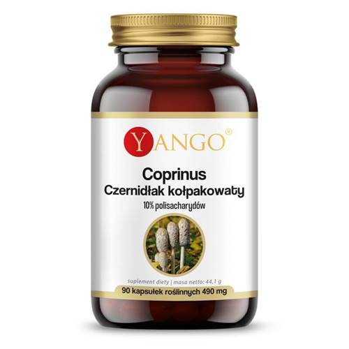Nahrungsergänzungsmittel Yango Coprinus