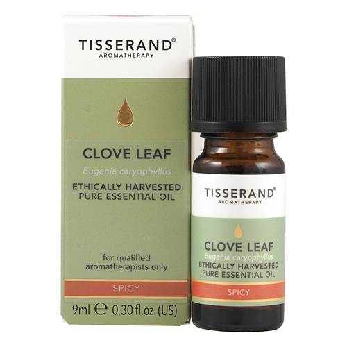 Körperpflegeprodukte Tisserand Aromatherapy Clove Leaf Ethically Harvested