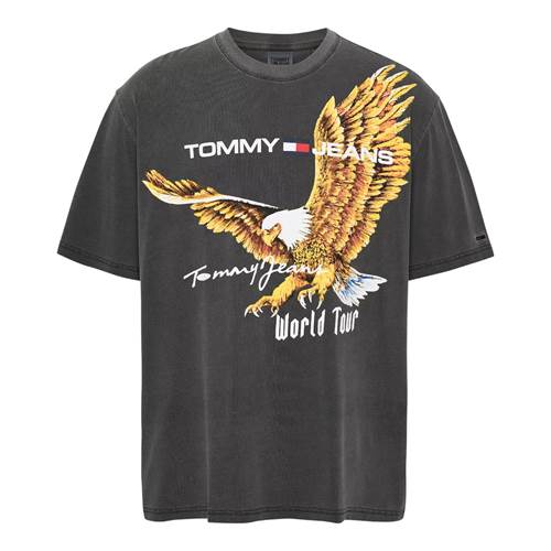 Tshirts Tommy Hilfiger DM0DM17737PUB