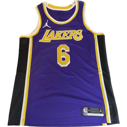 Nike Jordan Nba Swingman Jersey Lebron James La Lakers Statement Edition 6 Violett