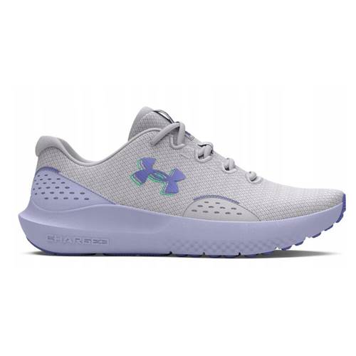 Schuh Under Armour Charged Surge 4