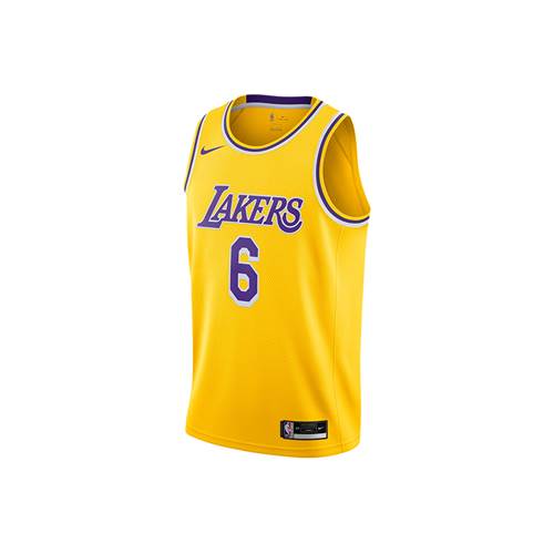 Tshirts Nike Nba Los Angeles Lakers Lebron James Swingman