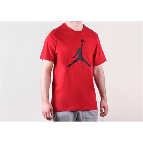 Nike Air Jordan Iconic Rot