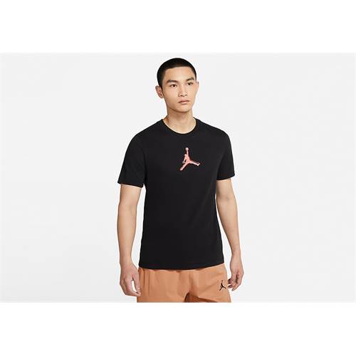 Tshirts Nike Air Jordan Dri-fit Air Graphic