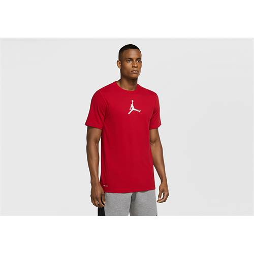 Tshirts Nike Air Jordan Dri-fit Air Graphic