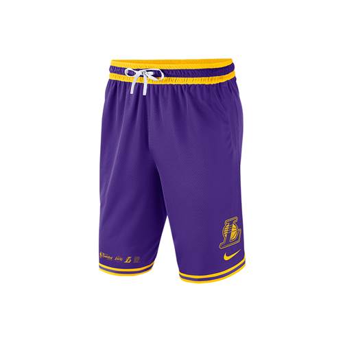 Nike Nba Los Angeles Lakers Violett